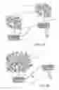 Fig. 09 - Plant with differential altitude and distributed root system, elevating facade including a plant with distributed root system and methods of producing the plant and facade