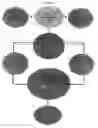 Fig. 02 - PET DATA MANAGEMENT AND INFORMATION STORAGE AND EXCHANGE SYSTEM
