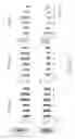 Fig. 10 - MAINTENANCE MEDIUM FOR PRIMATE PLURIPOTENT STEM CELLS
