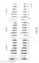 Fig. 11 - MAINTENANCE MEDIUM FOR PRIMATE PLURIPOTENT STEM CELLS