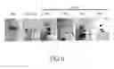 Fig. 14 - MAINTENANCE MEDIUM FOR PRIMATE PLURIPOTENT STEM CELLS