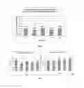 Fig. 06 - METHOD OF INCREASING BIOACTIVE COMPOUNDS IN A PLANT