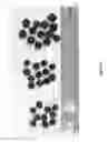 Fig. 07 - Continuous coating method