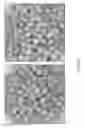 Fig. 09 - Continuous coating method