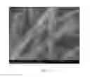 Fig. 03 - SURFACE ATTACHMENT OF PARTICLES TO CELLULOSE ESTER FIBERS