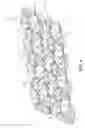 Fig. 04 - Protective padding layer