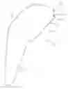 Fig. 01 - HAIR CAP