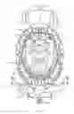 Fig. 04 - Football helmet with faceguard having raised eyebrow areas
