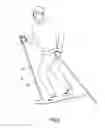 Fig. 02 - POLE INTENDED TO BE USED AS TRAINING EQUIPMENT DURING WALKING