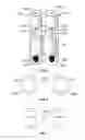 Fig. 04 - TEMPORARY HAIR COLORING SYSTEM AND METHOD