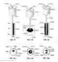 Fig. 07 - TEMPORARY HAIR COLORING SYSTEM AND METHOD