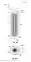 Fig. 14 - TEMPORARY HAIR COLORING SYSTEM AND METHOD