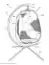 Fig. 01 - Hanging chair