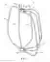 Fig. 06 - Hanging chair