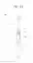 Fig. 02 - TIMING TOOTHBRUSH