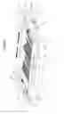 Fig. 07 - Cutlery tray for dishwasher