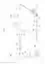 Fig. 03 - Ophthalmologic observation apparatus using optical coherence tomography