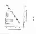 Fig. 35 - Methods related to real-time cancer diagnostics at endoscopy utilizing fiber-optic Raman spectroscopy