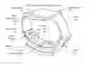 Fig. 01 - Electrocardiogram watch clasp