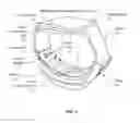 Fig. 02 - Electrocardiogram watch clasp