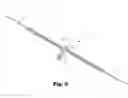 Fig. 06 - Suture tape assembly having a midpoint mark