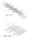 Fig. 69 - Stapling assemblies comprising a layer