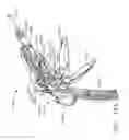 Fig. 99 - Stapling assemblies comprising a layer