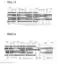 Fig. 09 - Detachable coil release system and handle assembly