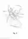 Fig. 04 - ACETABULAR DRILL PIN