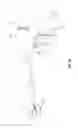 Fig. 02 - Trigger lockout and kickback mechanism for surgical instruments