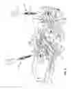 Fig. 10 - SPINAL CORRECTION SYSTEM