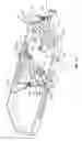Fig. 12 - SPINAL CORRECTION SYSTEM