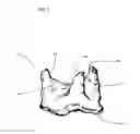 Fig. 02 - Pericardial heart valve replacement and methods of constructing the same