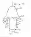 Fig. 01 - Push-To-Fit Earplug Having Geometric Flange Features