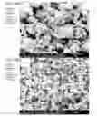 Fig. 13 - Dry powder formulations and methods for treating pulmonary diseases