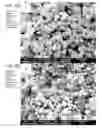 Fig. 14 - Dry powder formulations and methods for treating pulmonary diseases