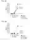Fig. 17 - Dry powder formulations and methods for treating pulmonary diseases