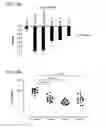 Fig. 52 - Dry powder formulations and methods for treating pulmonary diseases
