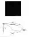 Fig. 04 - Microparticles for encapsulating probiotics, production and uses thereof