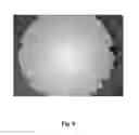 Fig. 06 - Tamper resistant dosage forms