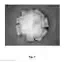 Fig. 08 - Tamper resistant dosage forms