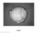 Fig. 09 - Tamper resistant dosage forms