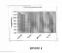 Fig. 05 - Enzyme delivery systems and methods of preparation and use