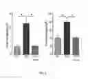 Fig. 06 - Modulators of intracellular chloride concentration for treating fragile X syndrome