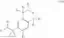Fig. 07 - Modulators of intracellular chloride concentration for treating fragile X syndrome