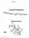 Fig. 02 - Modulators of sperm hypermotility and uses thereof