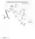 Fig. 04 - Pharmaceutical composition having synergistic action of direct catalase inhibitors and modulators of no metabolism or of extracellular superoxide anion production which lead to catalase destruction