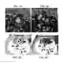 Fig. 06 - Methods and materials for reducing organ transplant rejection or ischemic/reperfusion injury in a subject