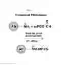 Fig. 02 - Chemically modified targeting protein and use thereof