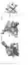 Fig. 02 - SMALL-MOLECULE BINDING SITE ON PRO-APOPTOTIC BAX REGULATES INHIBITION OF BAX ACTIVITY
